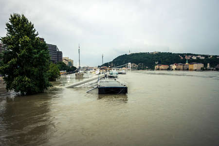 Flooded terrain in Europe at summerの写真素材