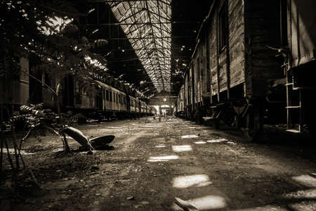 Some trains at abandoned train depot