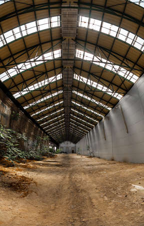 Abandoned industrial interior with bright light and some plantsの写真素材
