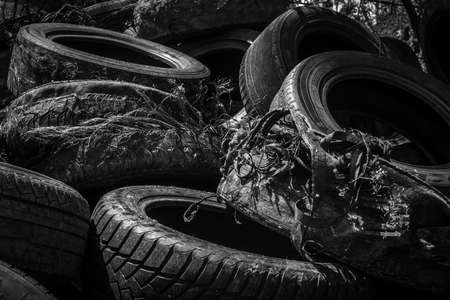 Used car tires の写真素材