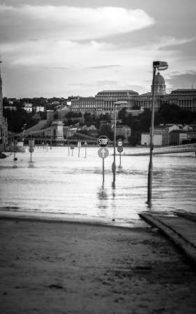 Flooded terrain in Europe at summerの写真素材