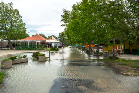 Flooded terrain in Balatonの写真素材