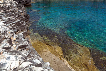 Adriatic Sea coastline in Croatia, Premanturaの写真素材