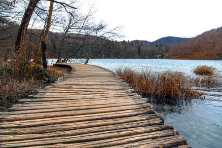Road in the forest at autumn with lakeの写真素材