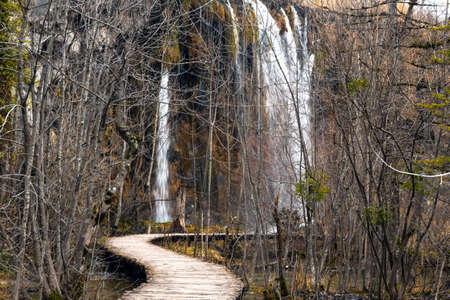 Road in the forest at autumn with lakeの写真素材