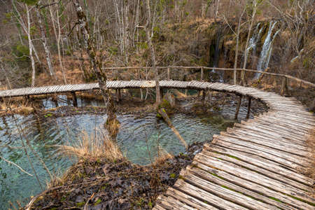 Road in the forest at autumn with lakeの写真素材