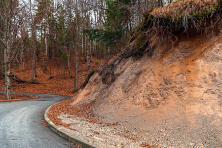 Road in the forest at autumnの写真素材
