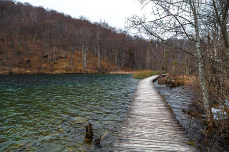 Road in the forest at autumn with lakeの写真素材
