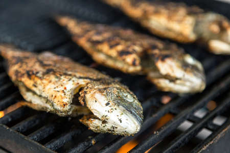grilled fish on the grill closeupの写真素材