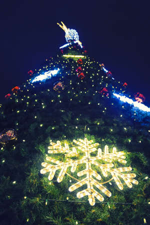 Christmas Tree at Night Closeup