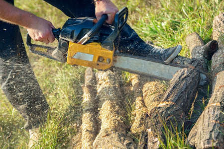 Gasoline powered professional chainsaw in the hands of a manの写真素材
