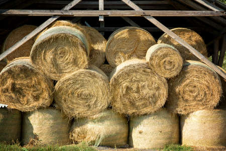 Straw bales of straw storage closeupの写真素材