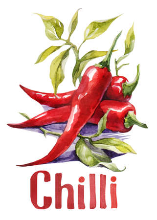 Red chilli. Hand drawing watercolor on white background with title. Watercolor title, letteringの写真素材