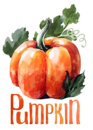 Orange pumpkin. Hand drawing watercolor on white background with title. Watercolor title, letteringの写真素材