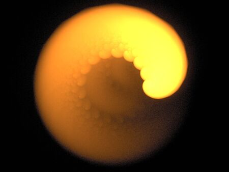 The origin of life, fractal in orange and yellow on blackの写真素材