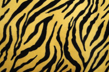 pattern of a tiger skin, excellent wildlife backgroundの写真素材