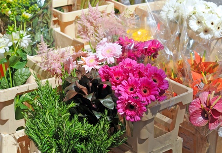 Pink gerbera and other flowers on the market, shallow depth of fieldの写真素材