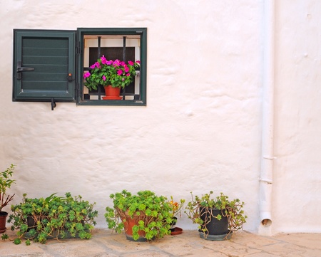 Attractive arrangement of flowerpots and drainpipe in the street in Locorotonde, Italy, Pugliaのeditorial素材