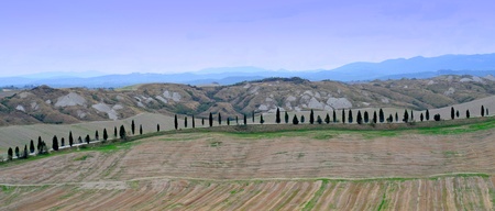 Crete senesi or siennese clays in tuscany, italy, europeの写真素材