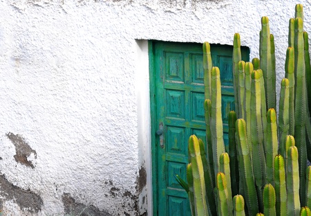 cactus by old green wooden door and weathered white plastered concrete wall in Tenerife, Canary Islandsの写真素材