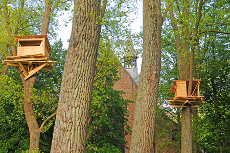 BRUGES, BELGIUM - MAY 16 2015: Tree huts in the beguinage, art by the Japanese Tadashi Kawamata for the first edition of Bruges triennial exhibition âArtwork in Progressâ till October 18のeditorial素材