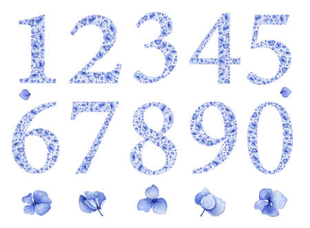 Blue floral watercolor hydrangea numbers set. Birthday anniversary figures 1, 2, 3,4,5,6,7,8,9,0 & flowers. Baby boy or girl party invitation card template or wedding table setting number decoration.の写真素材
