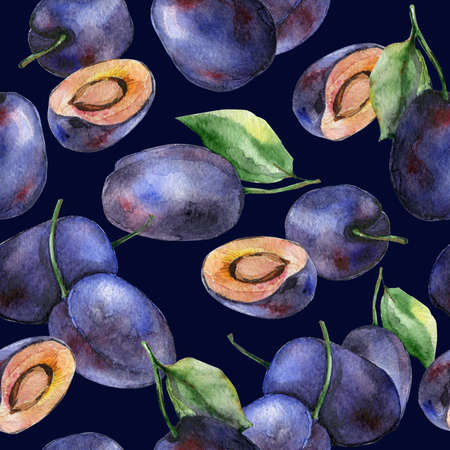 Watercolor plums seamless pattern. Fruits design.の写真素材
