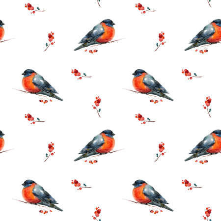 Seamless watercolor Christmas background with red winter bird bullfinch or robin and holly. May be used for wrapping paper, card or textile designの写真素材