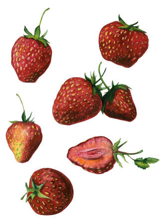 Watercolor strawberries isolated on white backgroundの写真素材
