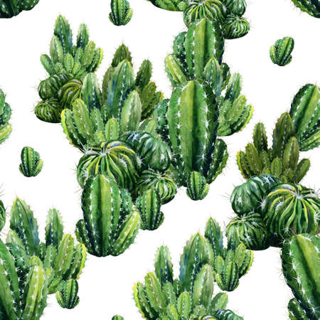 Seamless pattern with cacti watercolor. Cactus illustration can be used as print, home or garden decoration, wrapping paper, textile or wallpaper.の写真素材