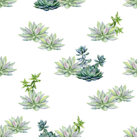 Watercolor succulents seamless pattern, echeveria illustration, botanical painting of dudleya and zwartkop. Stone rose. Sempervivum art. Elements for design of invitations, posters, fabrics.の写真素材
