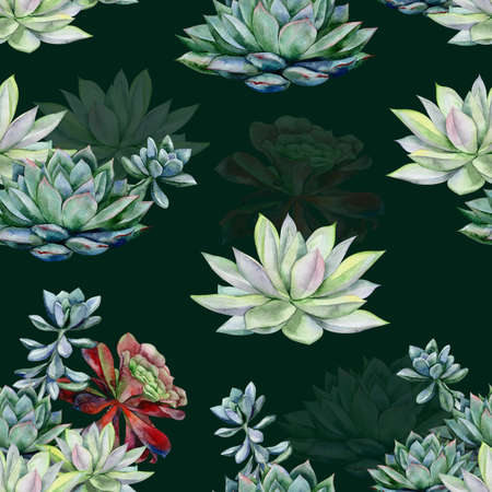 Watercolor succulents seamless pattern, echeveria illustration, botanical painting of dudleya and zwartkop. Stone rose. Sempervivum art. Elements for design of invitations, posters, fabrics.の写真素材