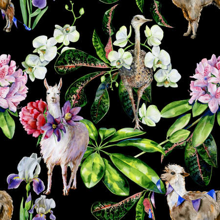 Alpaca, iris flowers and ribbons Tropical leaves of schefflera, croton. Use as nursery wallpaper.の写真素材
