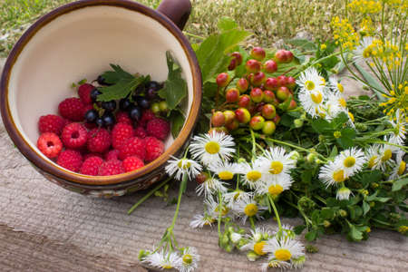 summer picnic and raspberriesの写真素材