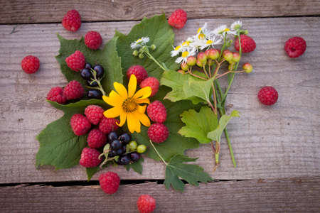 summer picnic and raspberriesの写真素材