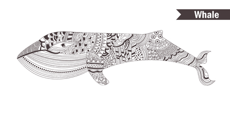 Whale. coloring book for adult, antistress coloring pages. Hand drawn vector isolated illustration on white background. Henna mehendi, tattoo sketchのイラスト素材