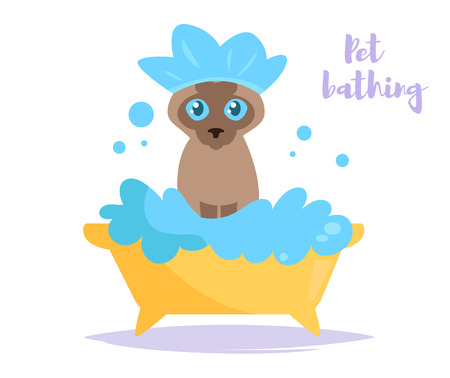 Animal bath Vector. Cartoon. Isolated art on white background. Flat Cleanのイラスト素材