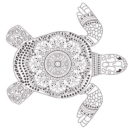 Turtle Coloring page Vector. Cartoon. Isolated artのイラスト素材