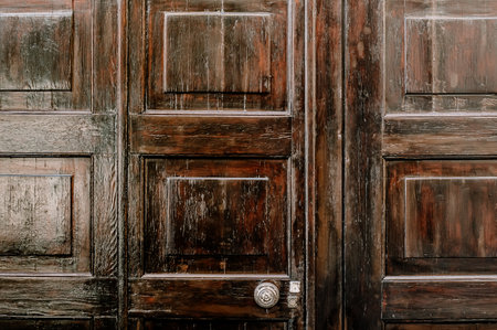 old vintage wooden door with small handle.Background horizontal