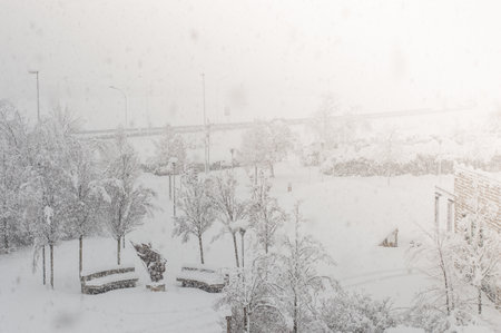 Snow covered Christmas trees and spruces against the background of falling snowの写真素材