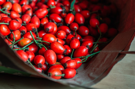 fresh rose hips in a paper bag,background dog roseの写真素材