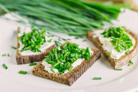 open rye bread sandwiches with fresh cheeses and green onions.の写真素材