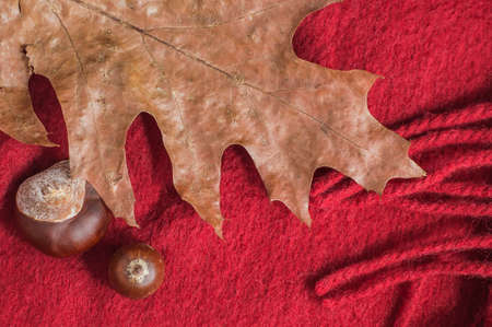 autumn leaves and chestnuts on a soft red background top view.の写真素材
