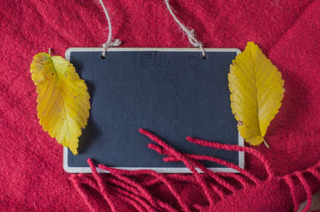 autumn leaves on a soft red background top view.Black text board for textの写真素材