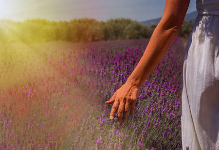 Emply place for a parking of bicycle near the beachの写真素材