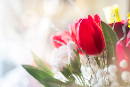 Close up of red tulips and white small flowers on light background with copy spaceの写真素材