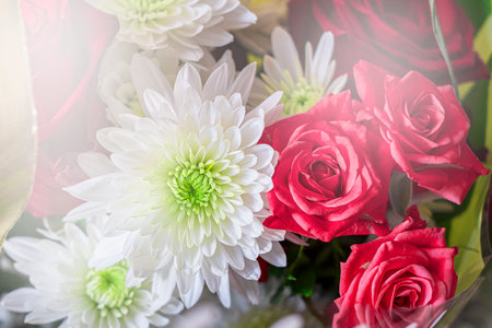 Beautiful bouquet of red and white flowers on light backgroundの写真素材