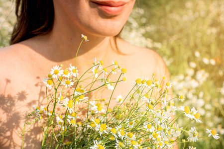 Woman holds daisies in her hands in the field in summerの写真素材