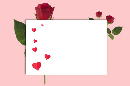 Womens day greeting card. Red roses and red hearts box on pink background with space for your greetingsの写真素材