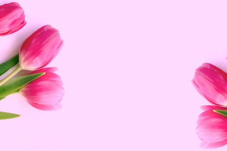 Pink tulip flowers bouquet on pink background. Flat lay, top view.の写真素材